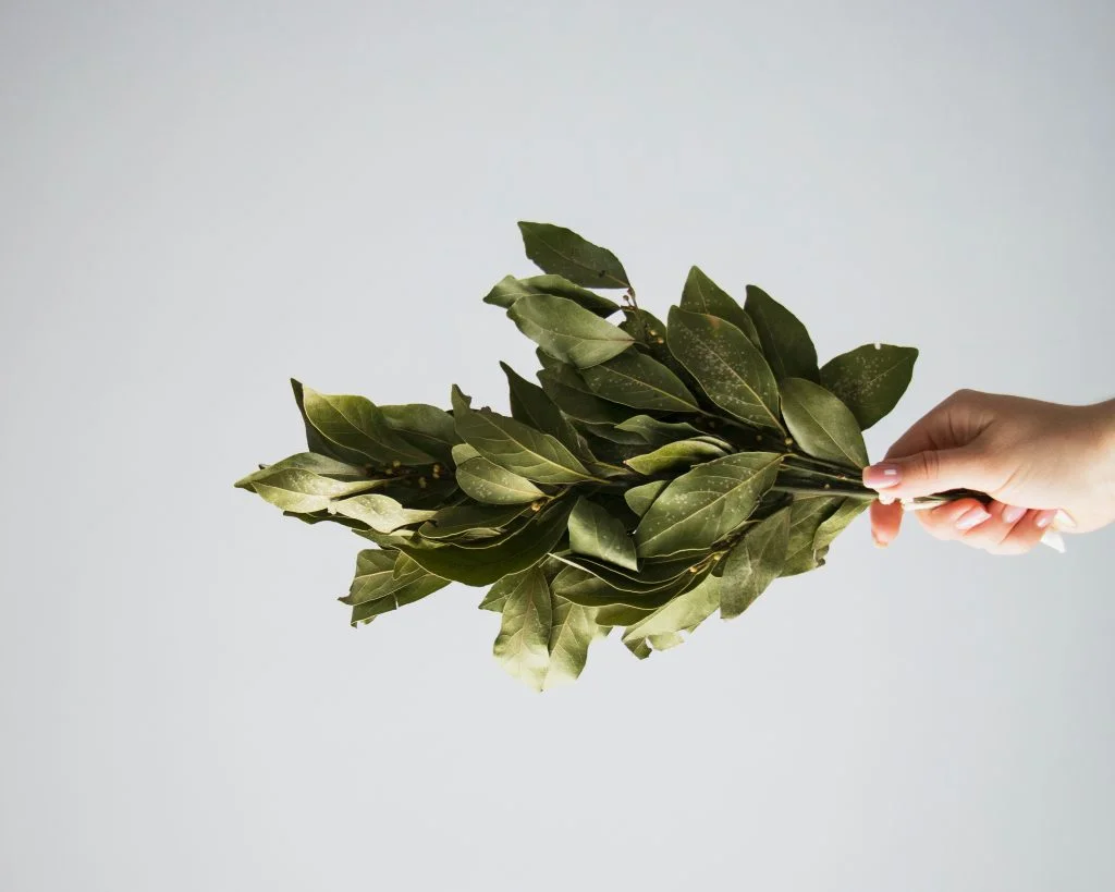 5 Of The Best Bay Leaf Substitutes! Cooked Best