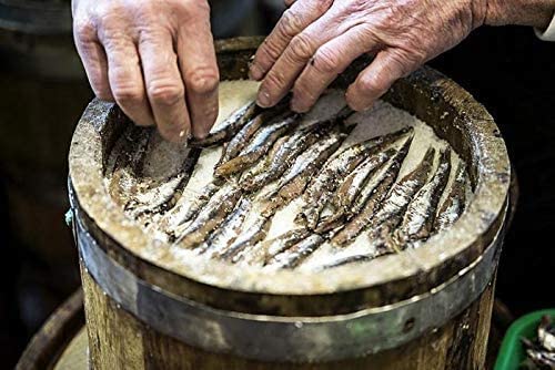 Cantabrian anchovies being salted