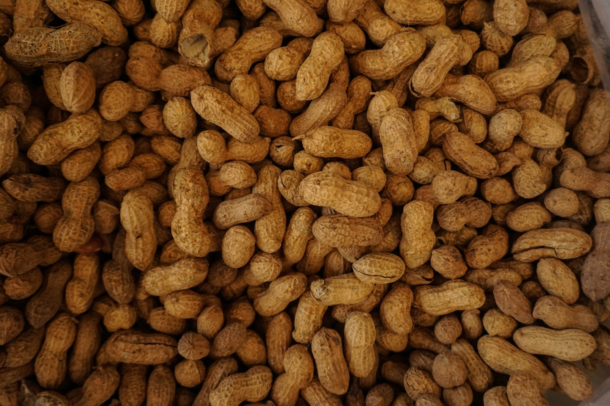 History Of Peanut Butter Cooked Best