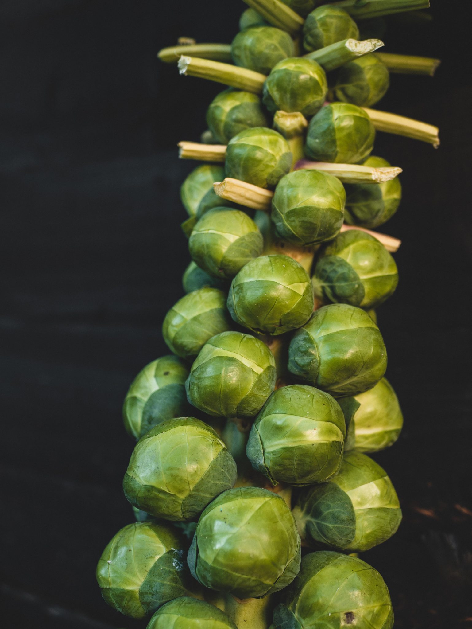 How To Reheat Brussel Sprouts? 4 Tested Ways Cooked Best